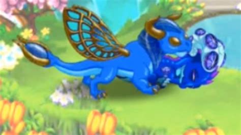 how to breed a lapis dragon